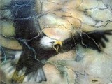 by Shar Koghee