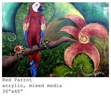by Paola N. Dawson