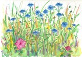 by cathie richardson