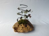 by Pedra Viva mini jardins