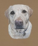 by Wendy Poulton