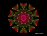 by Robert Heath