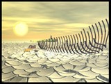 by Astrid van der Eerden