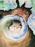by jill madgwick