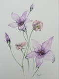 by jill madgwick