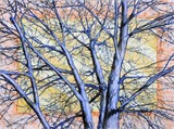 by John Terwilliger