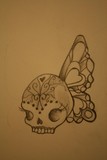 by Hailey Bee