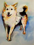 by meagan alwood-karcic