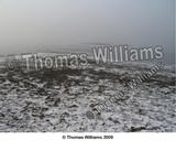 by Thomas Walliam