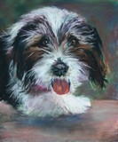 by Joan  Wulff