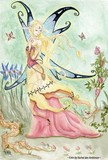 by Rachel  den Ambtman