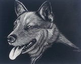 by Jennifer Jeffris