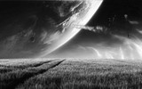 by Raymond  Gerena