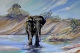 by Shirley Charlton