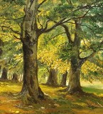 by Sorin Apostolescu