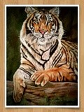 by SURI MOORTHY