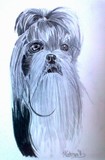 by Mai Triin Puström