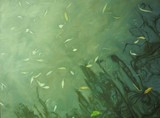 by Pavel Kašpárek