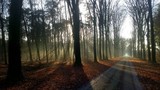 by geert-jan tielen