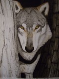 by Rick Sirmons