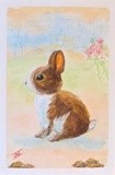 by Joanie Holliday