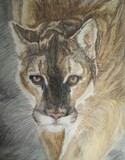 by Teddie Dumas Forbes