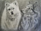 by Melissa Watson