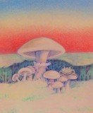 by Nana Kreegar