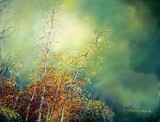 by Delores Herringshaw