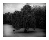 by Yvon Buchmann