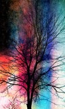 by Christine Schwab