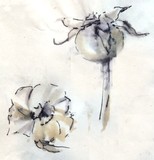 by Dana Koffenberger