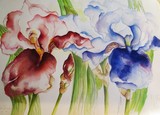 by Jessamines Garden