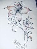 by samreen attar
