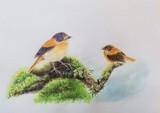 by Anju Rajesh