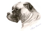 by Kim Lawrie