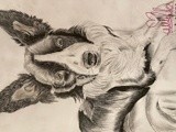 by Ariella Belau