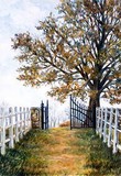by Jenny Schaeffer
