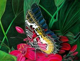 by Jon Johnson