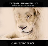 by DEE JOBES PHOTOGRAPHY