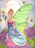 by Rachel Van Winkle