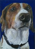 by marita johnson