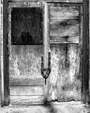 by Lee LaMarche