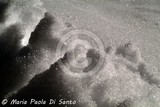 by Maria Paola Di Santo