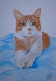 by Cybele Chaves