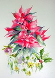 by P Preston