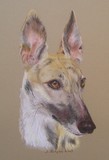by Joanne Simpson-Connor