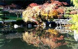 by Joseph Aprile
