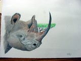 by GARY COLE