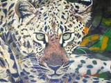 by Lumain van Vuuren